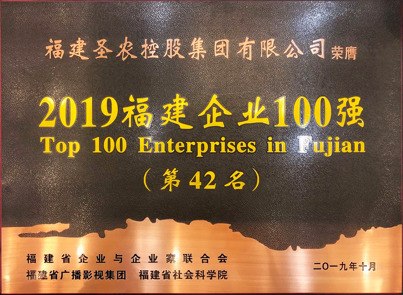 2019（威廉希尔官网集团）福建企业100强